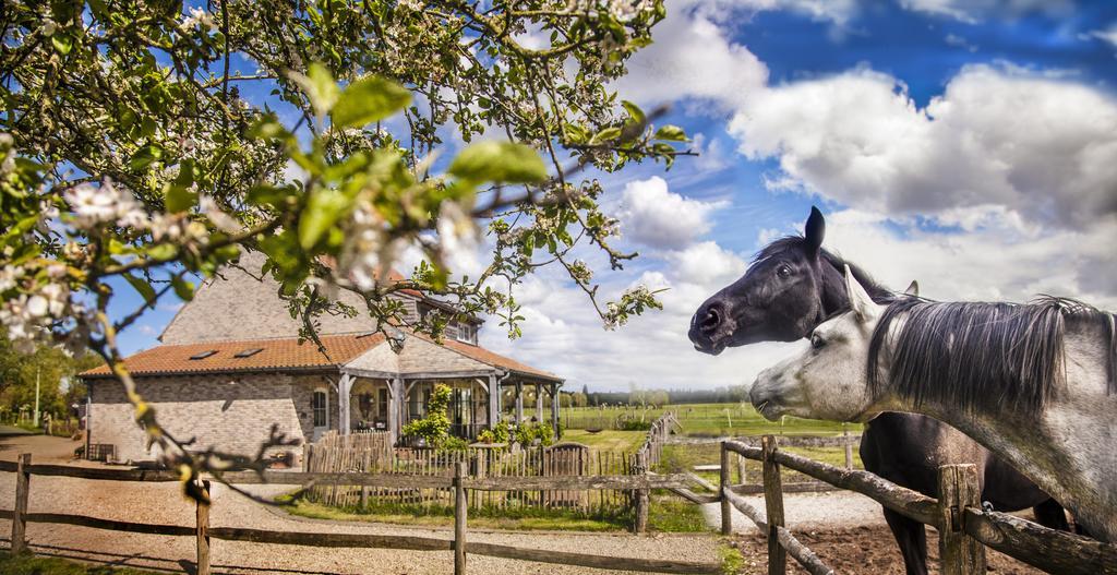 B&B De Vossenbarm Jabbeke Kültér fotó